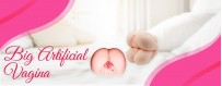 Buy Big Artificial Pussy in India at Super Low Prices | 10%OFF